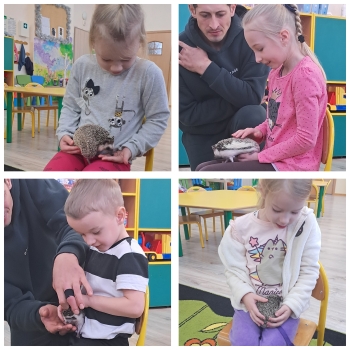 GridArt_20250216_195012429