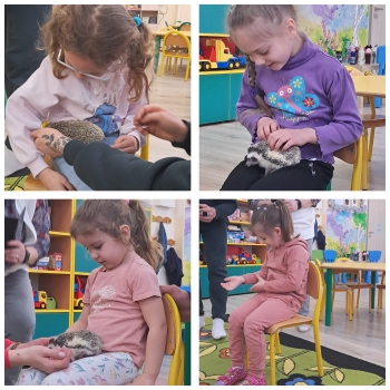 GridArt_20250216_194817256