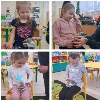 GridArt_20250216_194630022