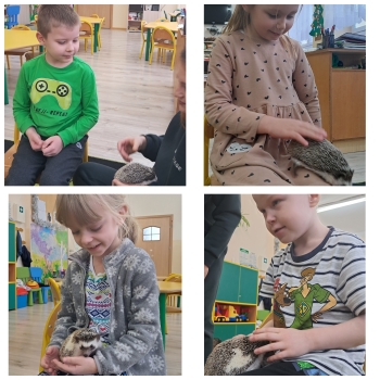 GridArt_20250216_193956107