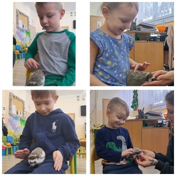 GridArt_20250216_194518720