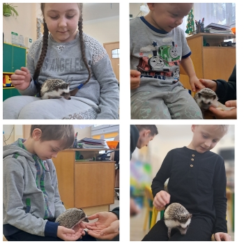 GridArt_20250216_194213419