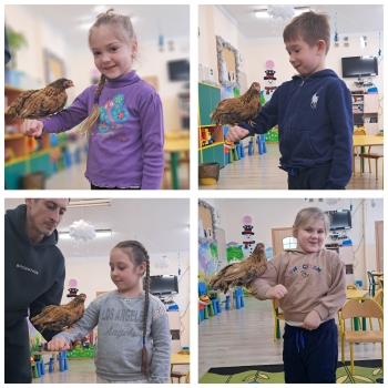 GridArt_20250216_193354396