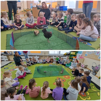 GridArt_20250216_190040098