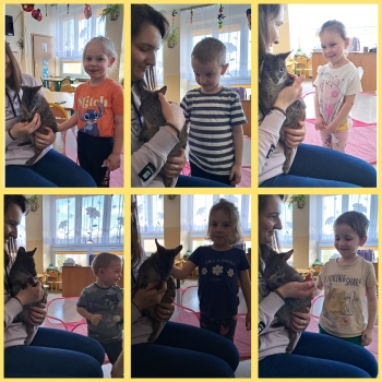 GridArt_20250329_153429730