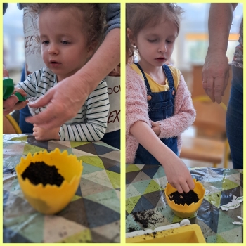 GridArt_20250415_120221124