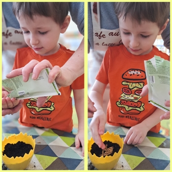 GridArt_20250415_115950549