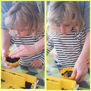 GridArt_20250415_115412322