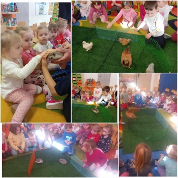 Messenger_creation_4FEA8D66-1D3B-4E99-B5B9-AEE0F2A33F80 (1).jpeg