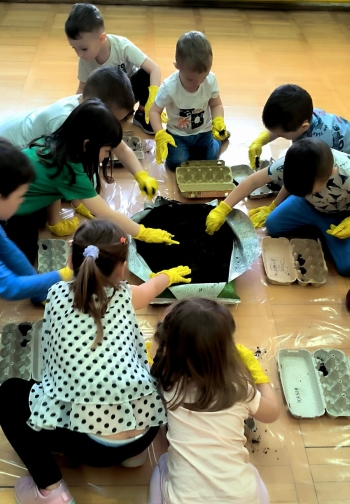 WhatsApp Image 2025-04-15 at 13.18.16.jpeg