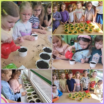 Messenger_creation_B7E6B04B-CA6F-4676-93A9-E32D70F6A5A2 — kopia.jpeg