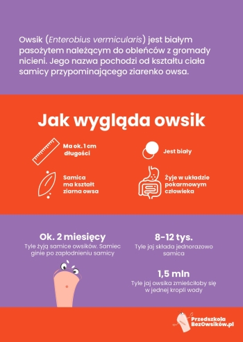 PRZEDSZKOLA BEZ OWISKOW obrazy-1