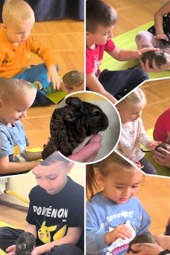 WhatsApp Image 2025-10-16 at 20.49.37 (2).jpeg