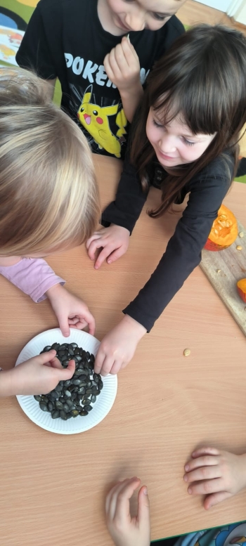 WhatsApp Image 2025-11-04 at 19.32.42.jpeg