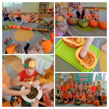 431131cd-f57e-4df7-81bd-7bb7790cdb48