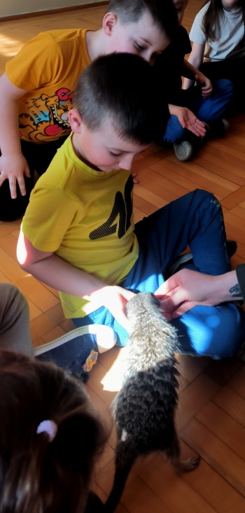 WhatsApp Image 2026-03-24 at 19.36.40 (2).jpeg