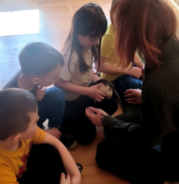 WhatsApp Image 2026-03-24 at 19.36.40 (6).jpeg