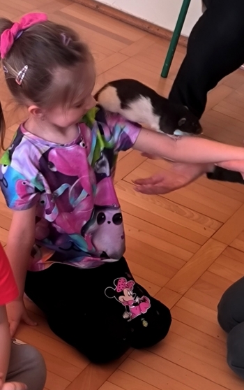 WhatsApp Image 2026-03-24 at 19.36.40 (7).jpeg