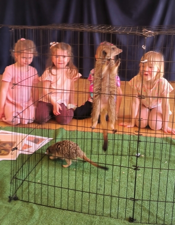 WhatsApp Image 2026-03-24 at 19.36.40.jpeg