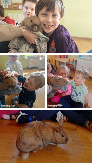 20260324_072106-COLLAGE