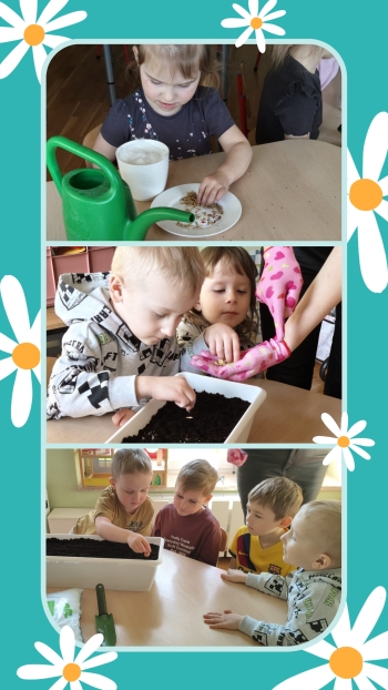 20260324_073029-COLLAGE