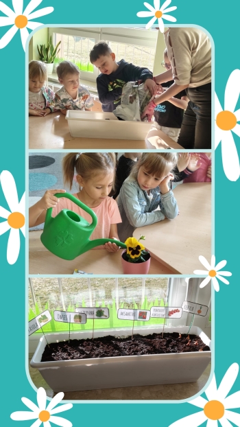 20260324_073228-COLLAGE