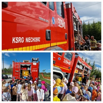 1000008613