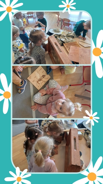 20260512_185421-COLLAGE (1)