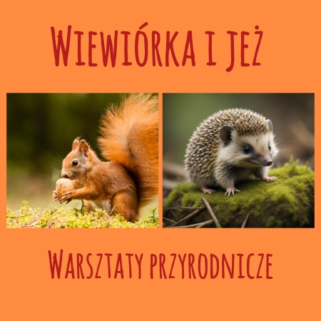 Przedszkole - Boguchwała Gaj: Warsztaty przyrodnicze - Wiewiórka i Jeż