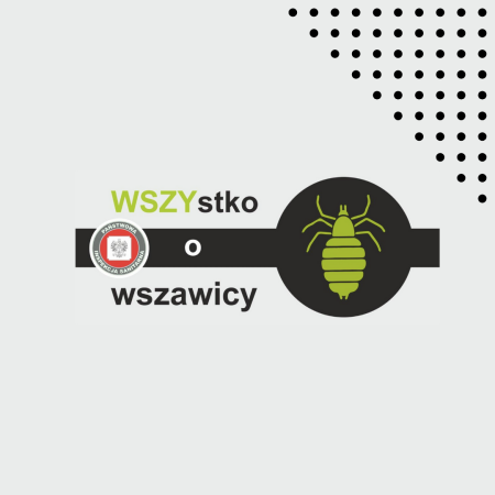 Wszystko o WSZAwicy