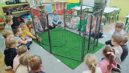 Przedszkole w Mogielnicy:  Spotkanie z surykatkami