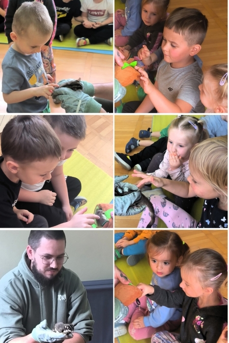 Punkt przedszkolny Mali Odkrywcy w Zarzeczu: Zajęcia zoologiczne