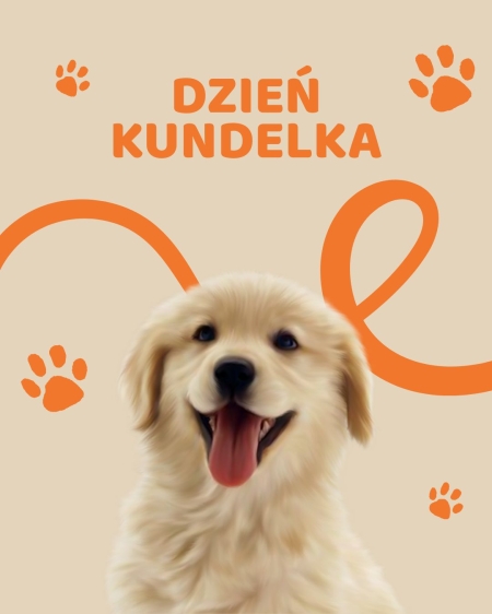 Przedszkole Boguchwała Reja: Dzień kundelka