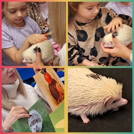 Przedszkole w Boguchwale: Warsztaty przyrodnicze z jeżem pigmejskim