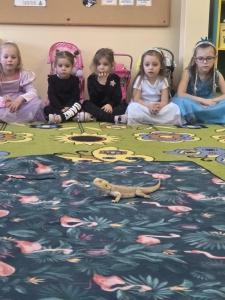 Punkt przedszkolny ''Kubusiowa Polana'' w Niechobrzu: Lekcja żywych zwierząt