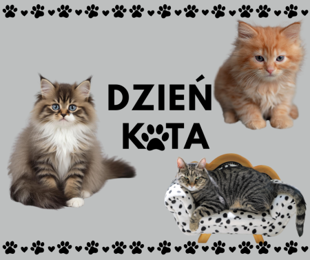Przedszkole w Racławówce: Dzień Kota