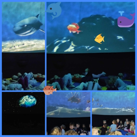 Niepubliczne Przedszkole Wesołe Promyczki w Boguchwale: Mobilne oceanarium